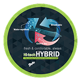 Hybrid Tech Icon